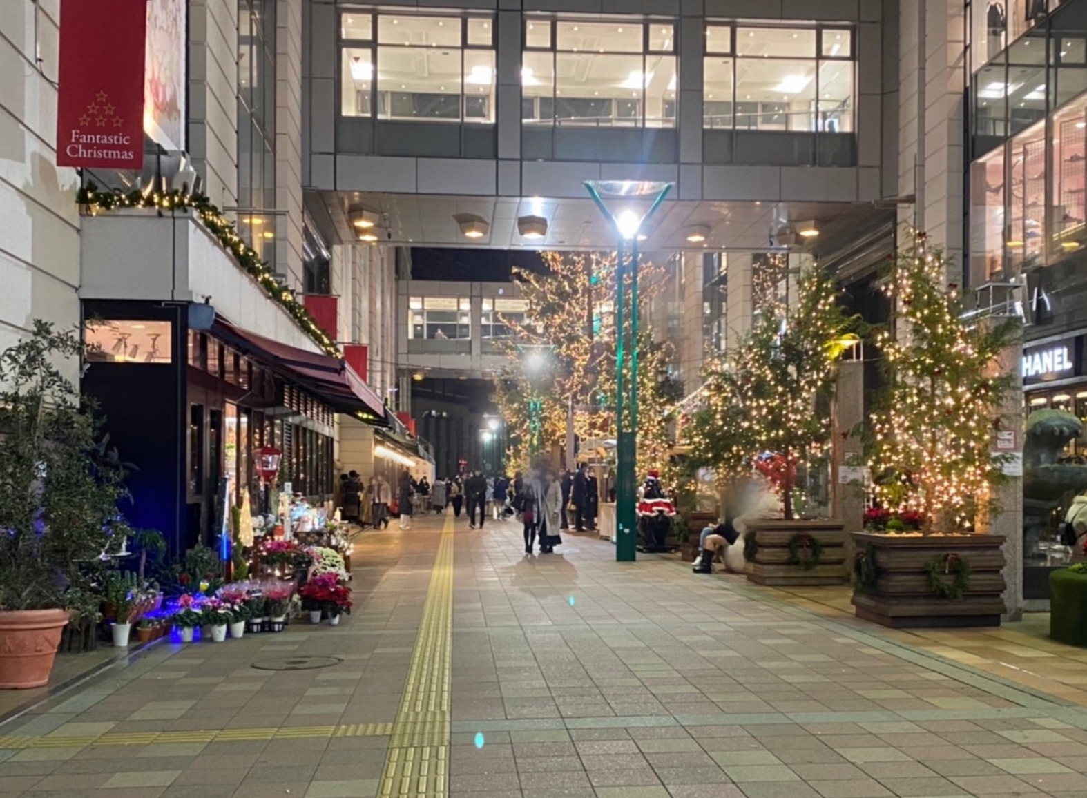"天然的租借Winter Ver."