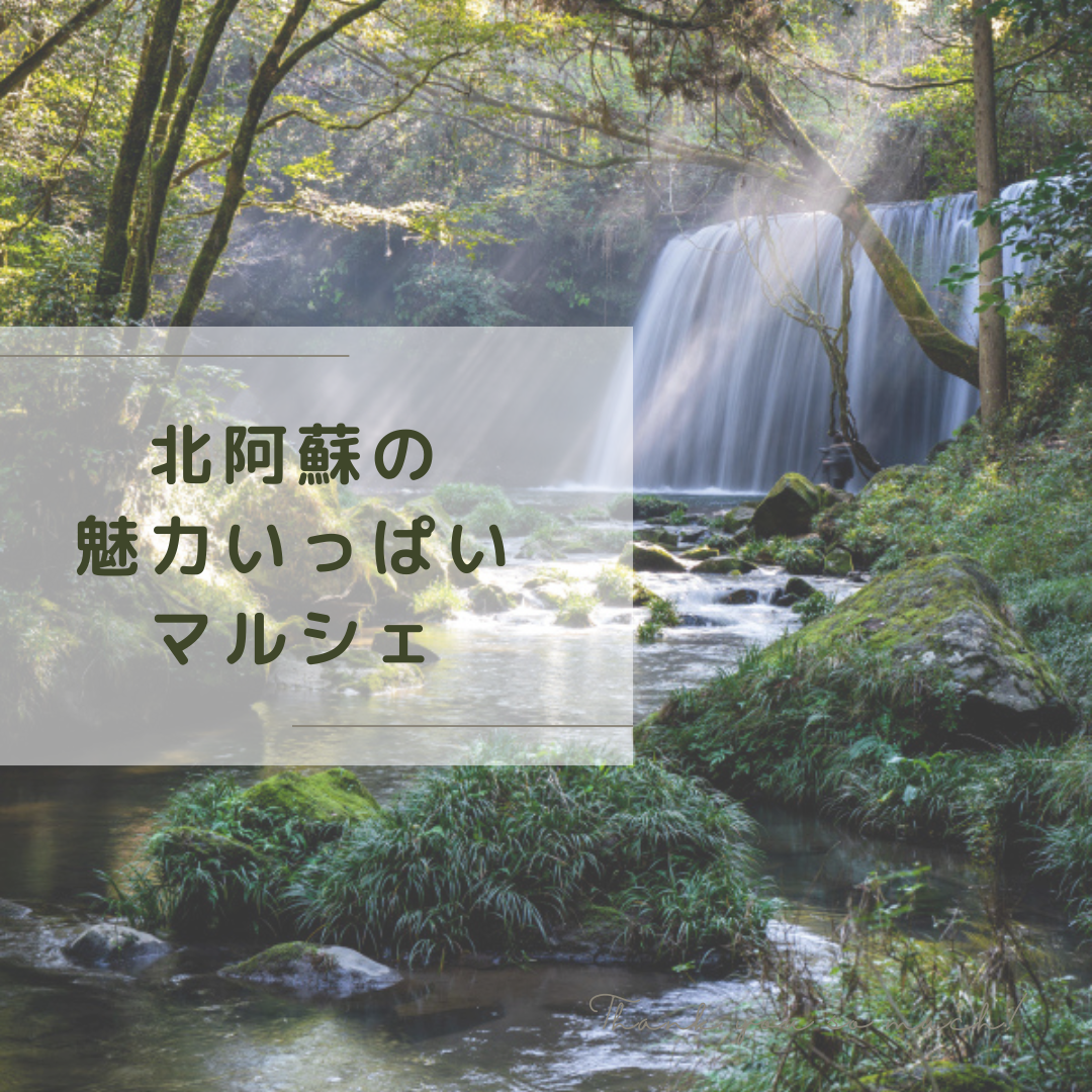 许多北阿苏的魅力MARCHE🌞🌳