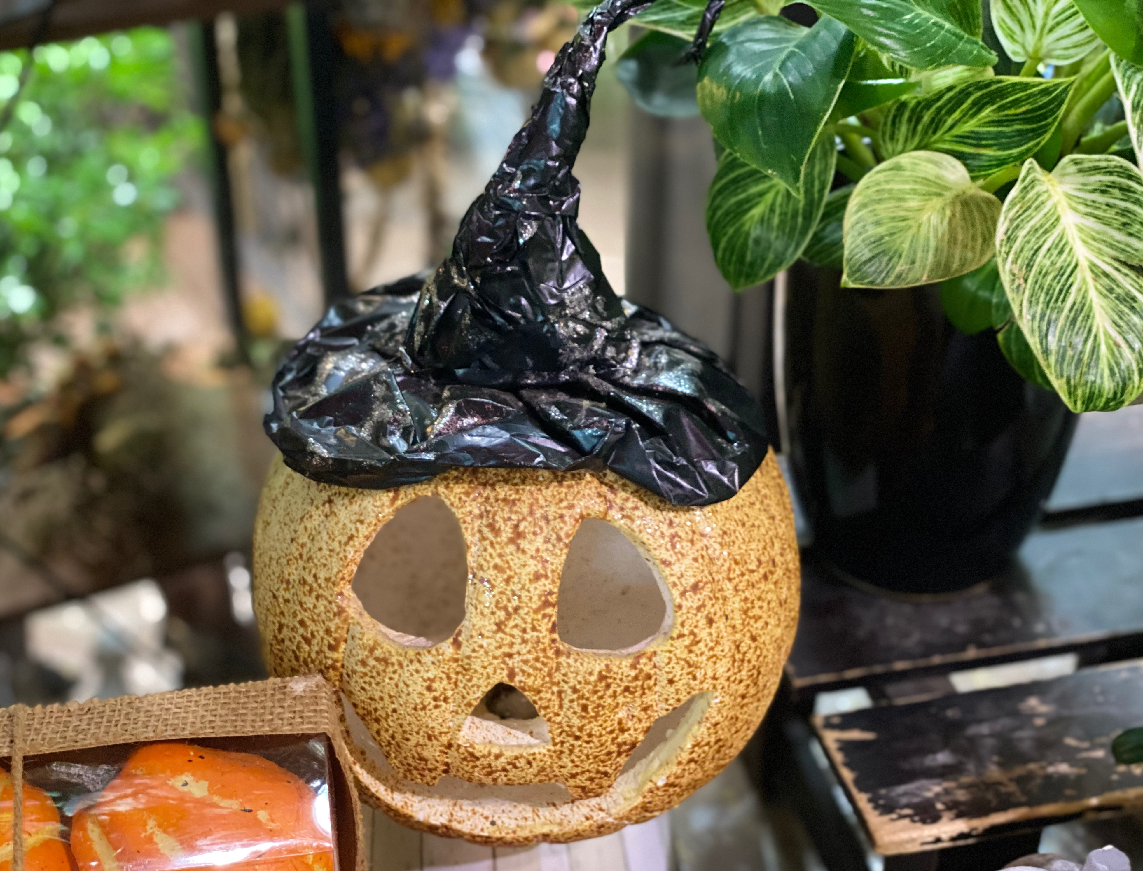 在10月31日作为万圣节的日的🎃🎃