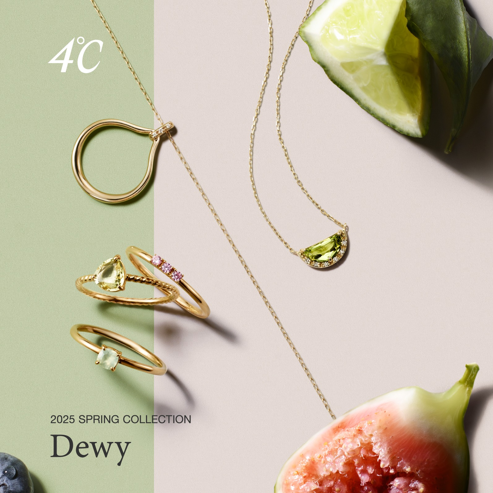 ４℃Spring Collection