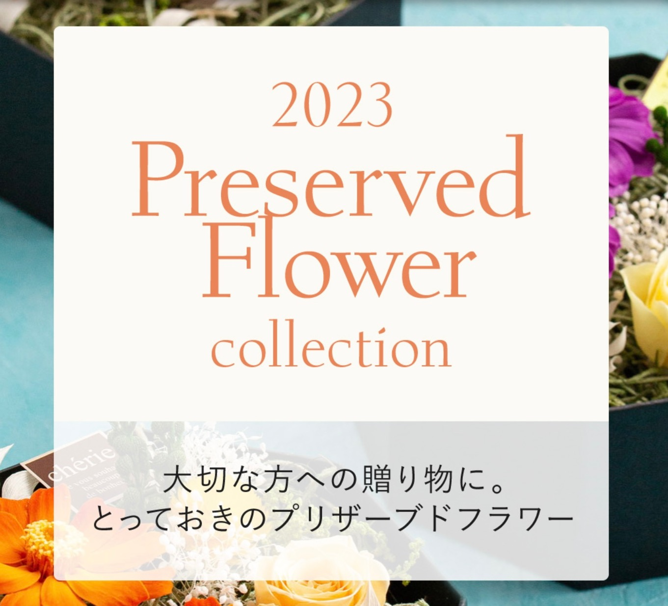 2023.parefuroragifutofea Spring Collection