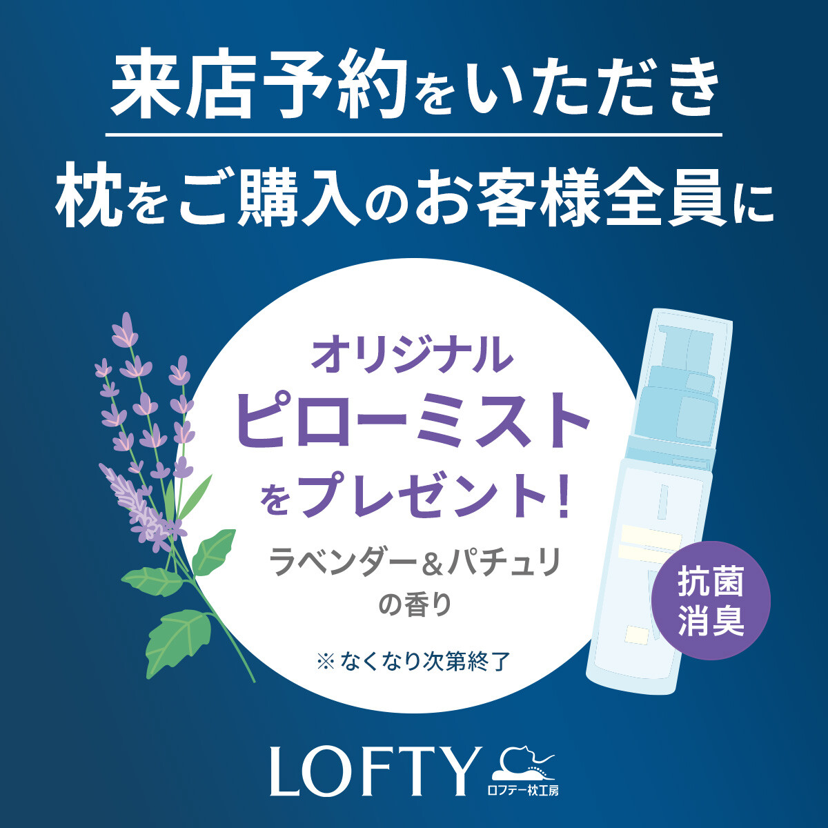 [Lofty枕头工作室]预约来店，被宣传