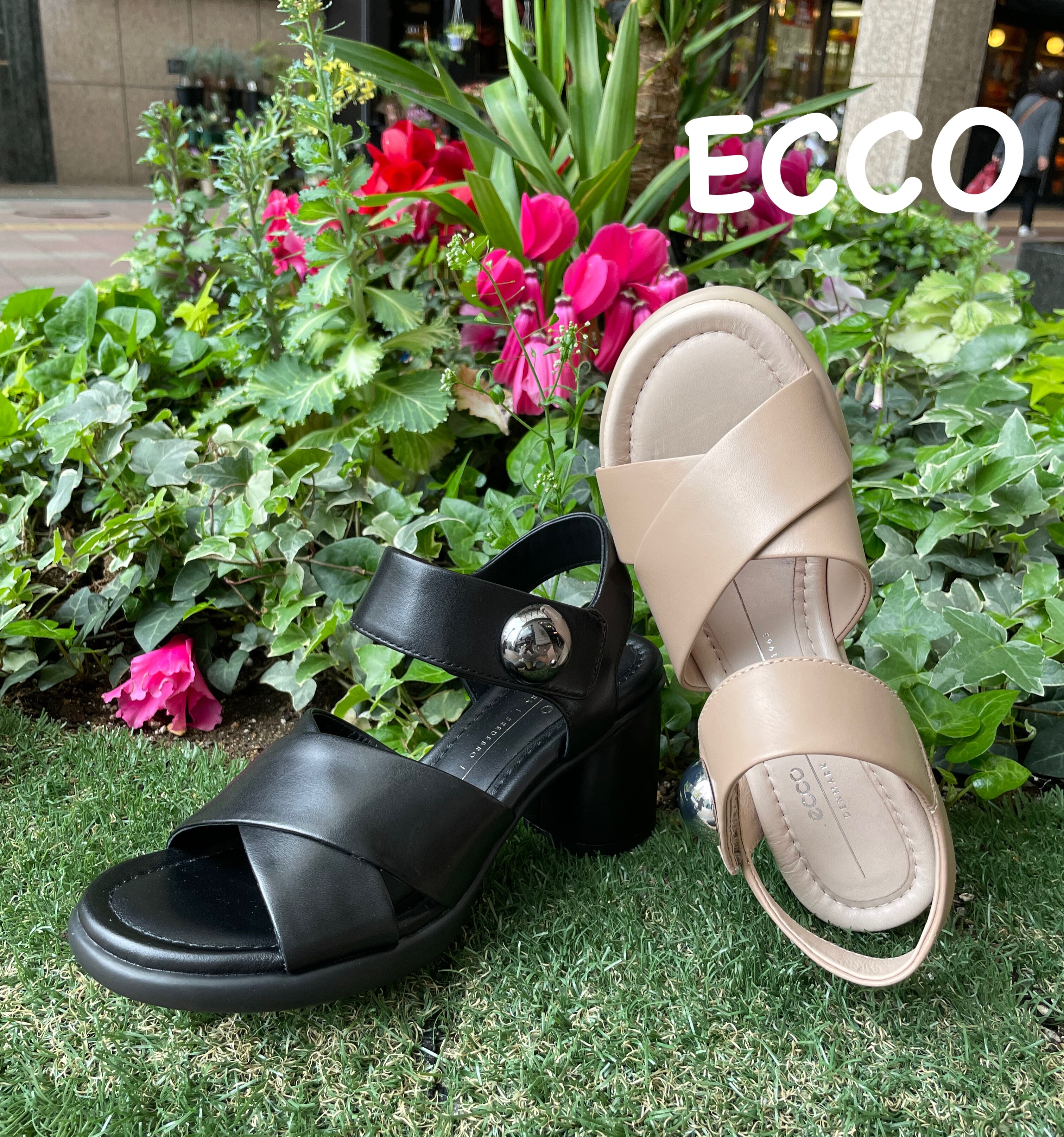 预先得到夏天‼️回声的凉鞋👡
