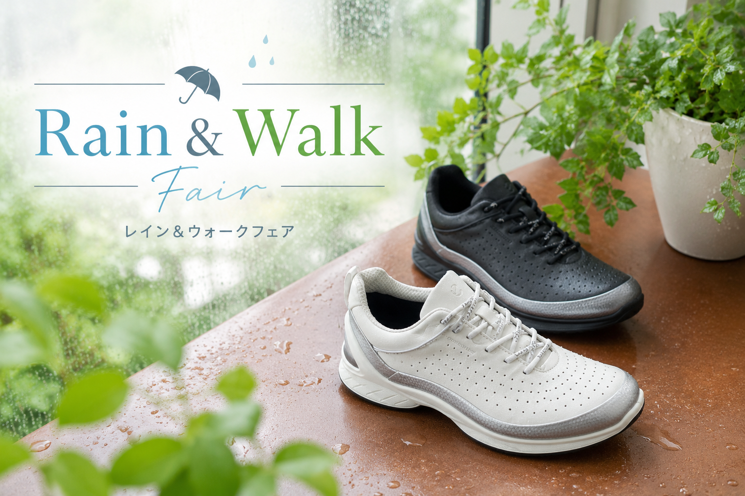 [ECCO]雷恩&行走交易🚶‍♂️✨