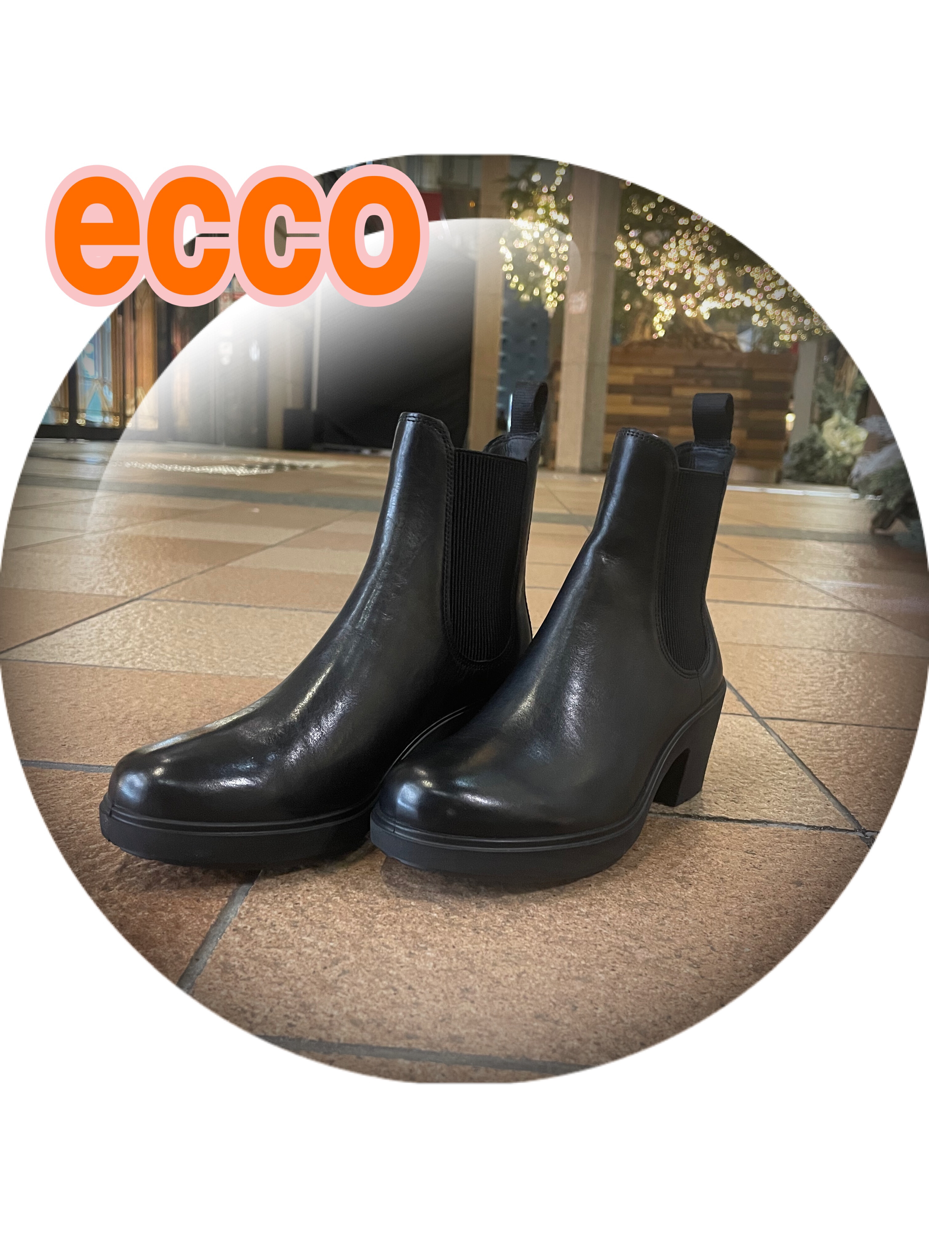 [ECCO]回声的判断，是靴子👢✨