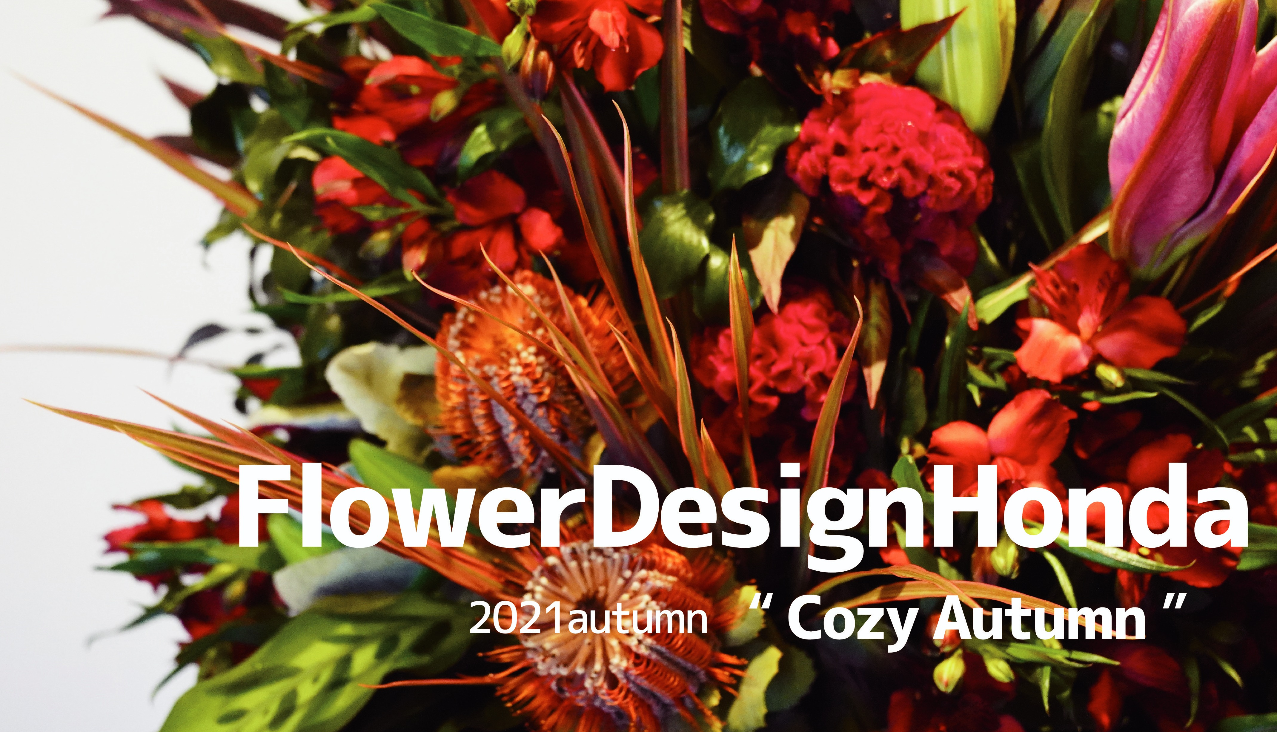 [Flower Design Honda限期供应活动]