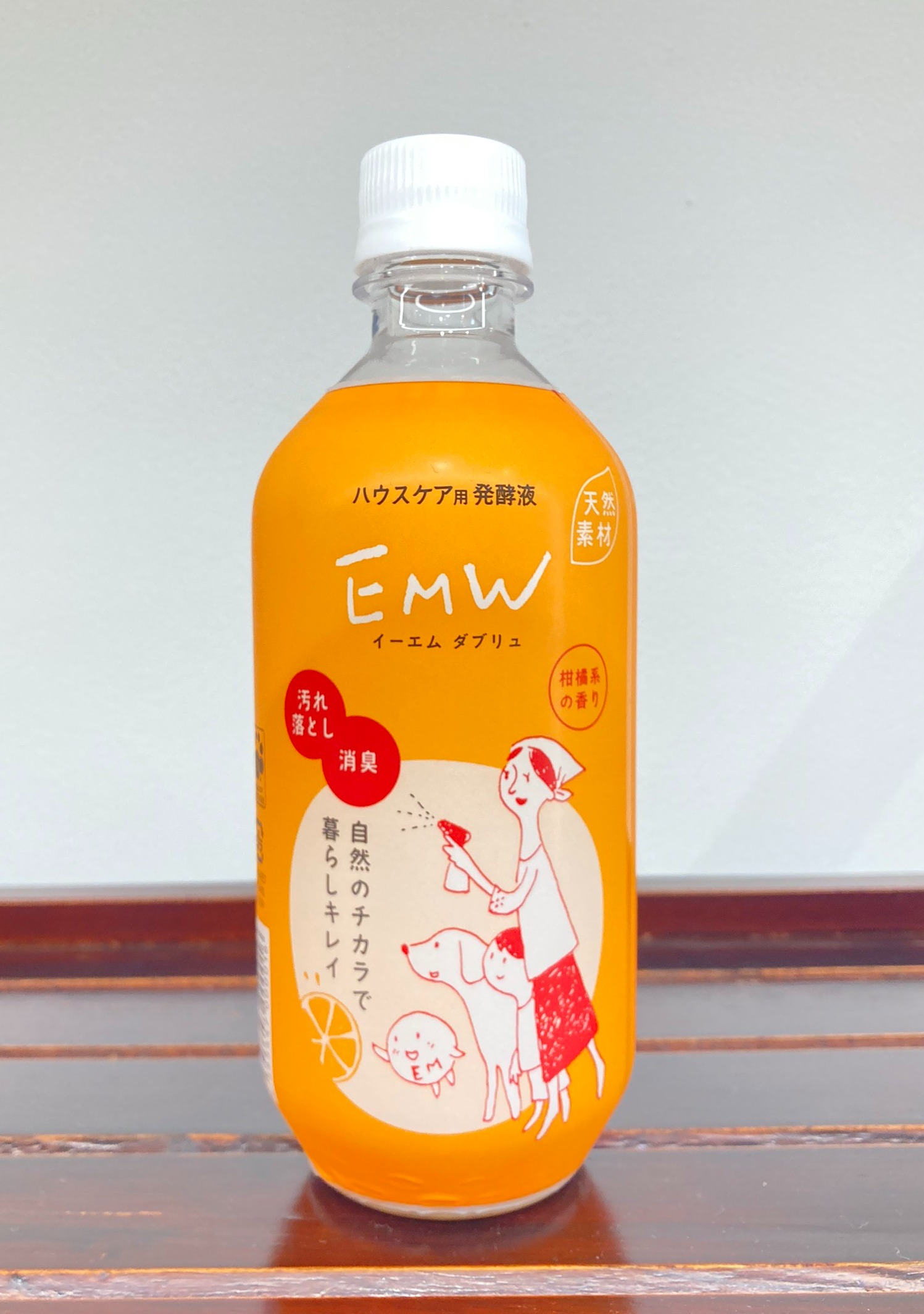 在乳酸菌酵母房子中的打扫