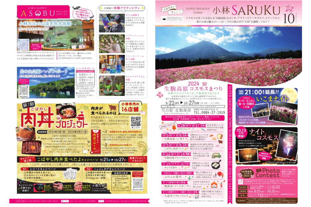 [出去的点]2024生驹高原波斯菊节[宫崎]