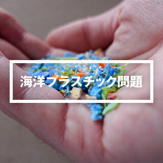 海洋塑料问题