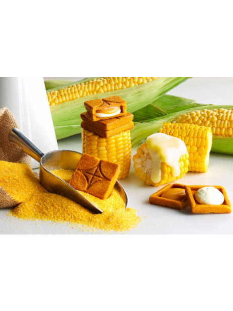 食品活动(活动)