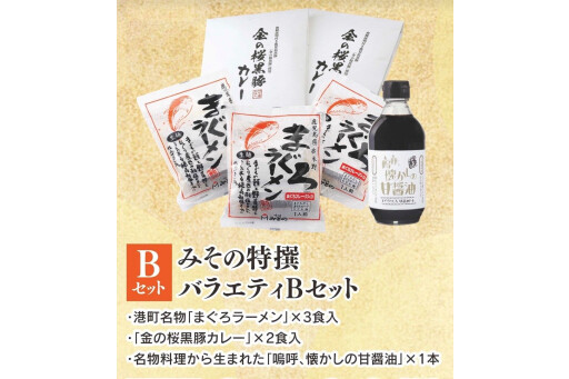 只大酱设置那件特选多样性礼物(B安排)