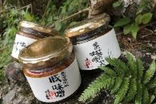 自然的放牧黑猪猪大酱
