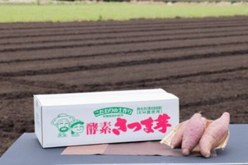红薯/胭脂红春天