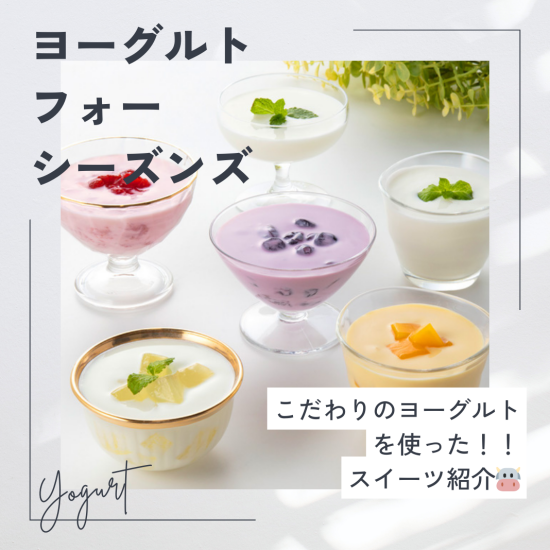[酸奶四季节]5选经典的商品！介绍!！