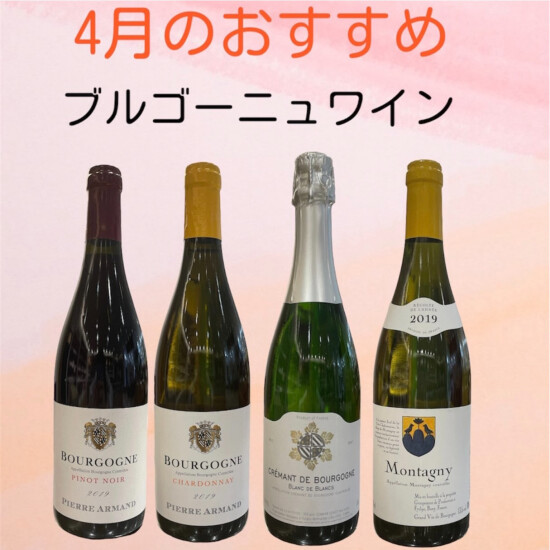 在《4月的推荐的》布尔戈涅葡萄酒🍷