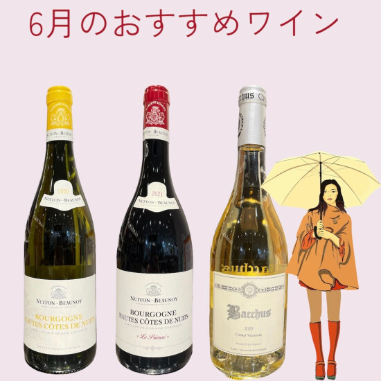 在6月的推荐的葡萄酒✨🍷