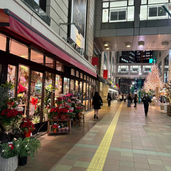 一片全世界X'mas🦌🛷🎅气氛🎄