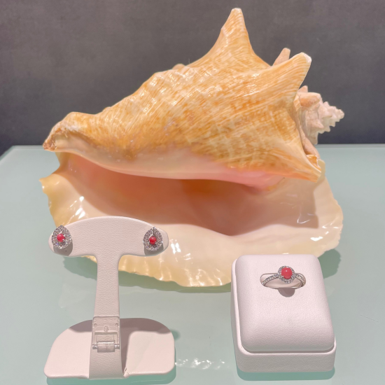 konkuparu的商品介绍的事情🐚