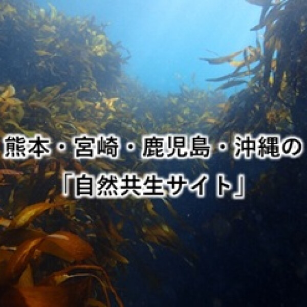 🐟💧九州、冲绳的"自然的共生网站"②～熊本、宫崎、鹿儿岛、冲绳～🌳🦌