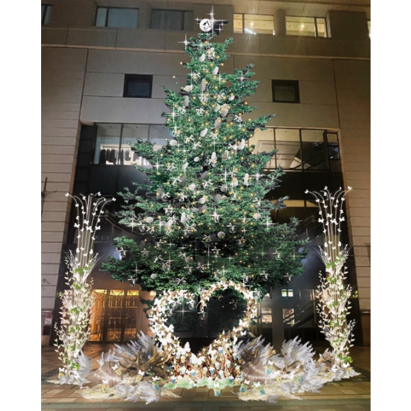 🎄大丸的圣诞节2024点灯式活动🎄