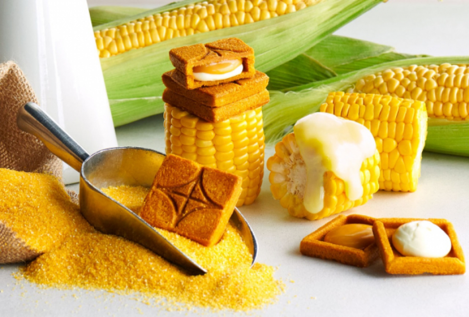 食品活动(活动)